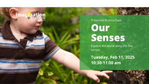 Preschool Science Says Our Senses