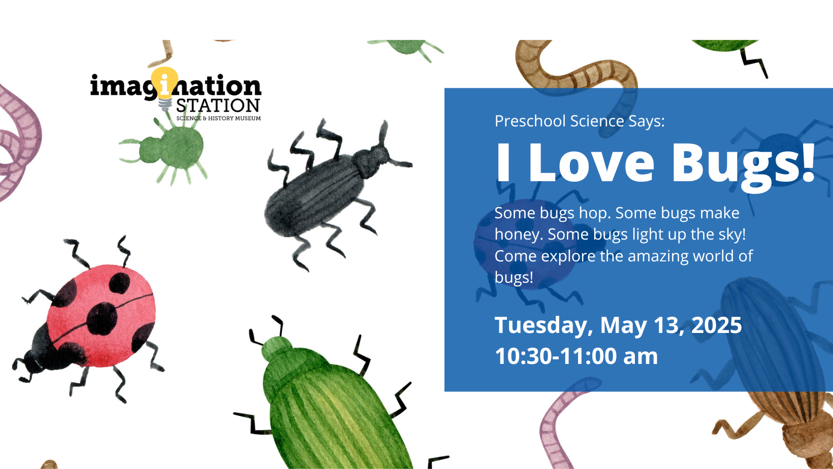 Preschool Science Says I Love Bugs!