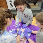 Dissections