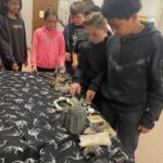 Fossil Identification - Digging in the Dirt